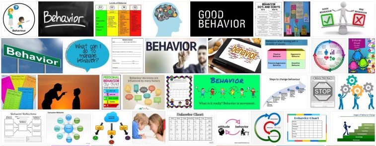 What is Behavior